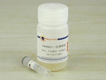 HDAC3抗体(小鼠单抗)